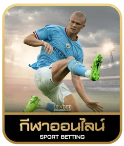 WINK 123 เดิมพันกีฬา